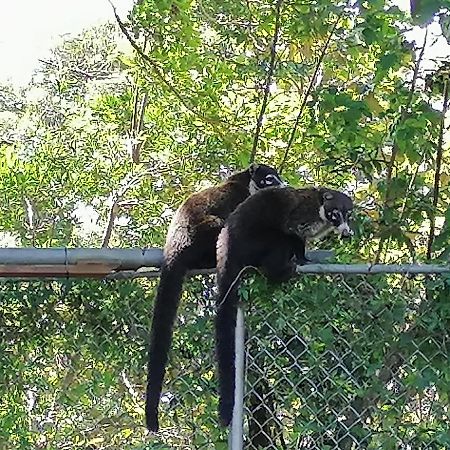 Nature House Monteverde Dış mekan fotoğraf
