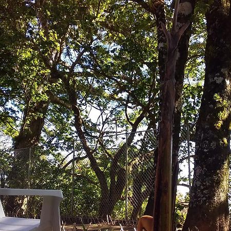 Nature House Monteverde Dış mekan fotoğraf