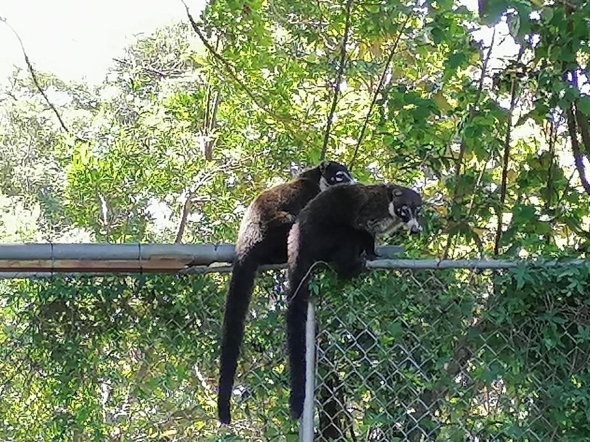 Nature House Monteverde Dış mekan fotoğraf