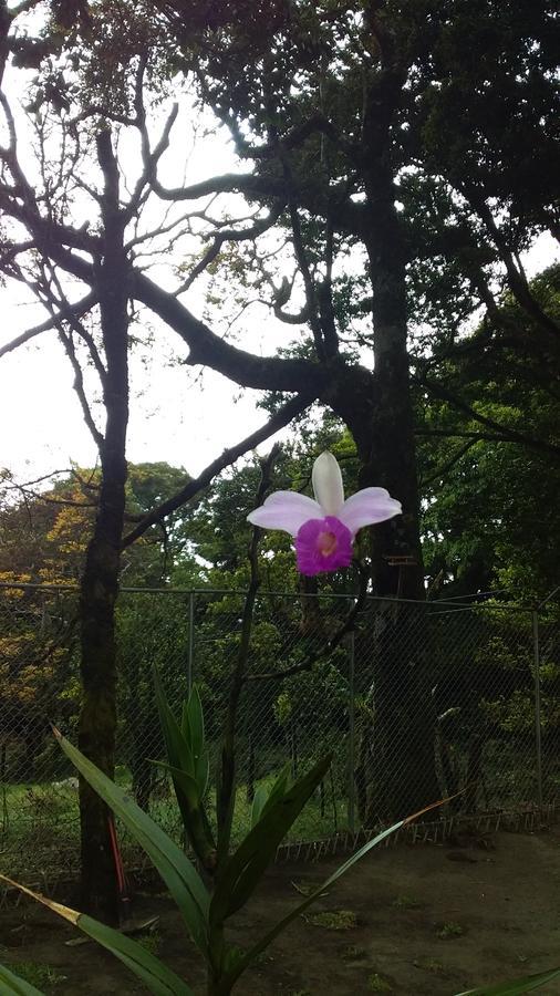 Nature House Monteverde Dış mekan fotoğraf